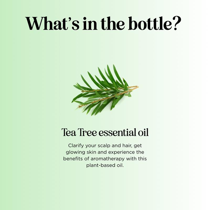 Maple Holistics Tea Tree Essential Oil for Hair, Skin, Nails and More Haircare Hydrating Moisturizer