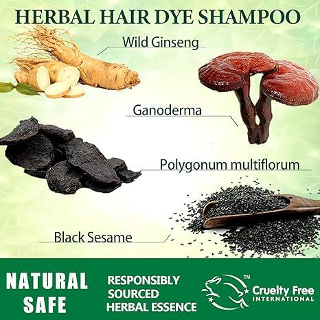 Instant Coffee Hair Dye Shampoo,Herbal Ingredient Light Brown Hair Color Shampoo for Women Men,16.90 Fl Oz Brown Hair Shampoo，Safe & Easy to Use Haircare Shampoo