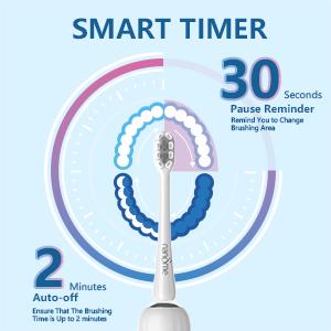 12 toothbrush heads, 5 cleaning modes, 3 cleaning strengths, 360 days of battery life, Electric Toothbrushes  Cleansing Sensitive Daily