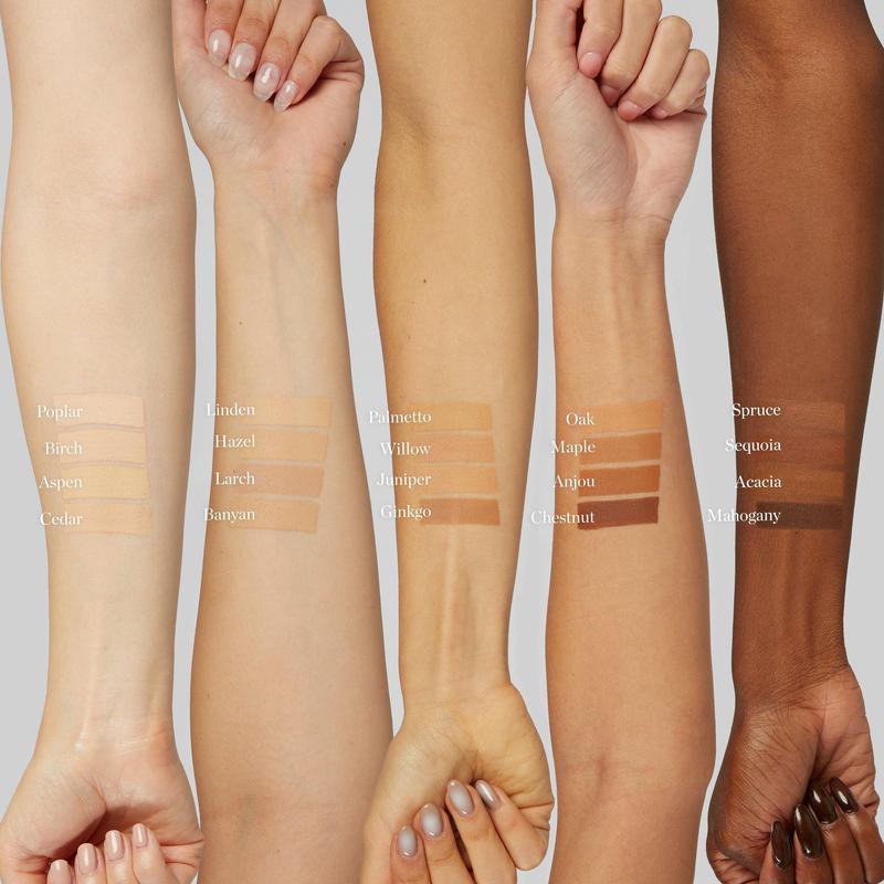 Sculpted Complexion Stick